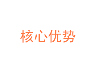 核心优势