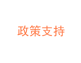 政策支持